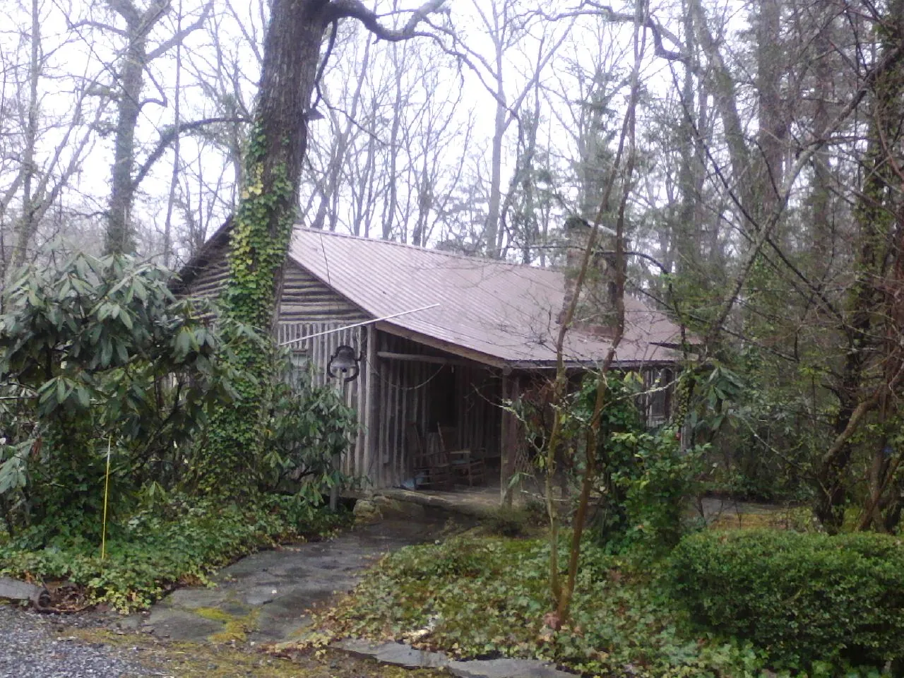 Weathered metal roof on an old board sided cabin in the woods in Bloomingdale